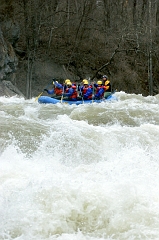 Raft 28